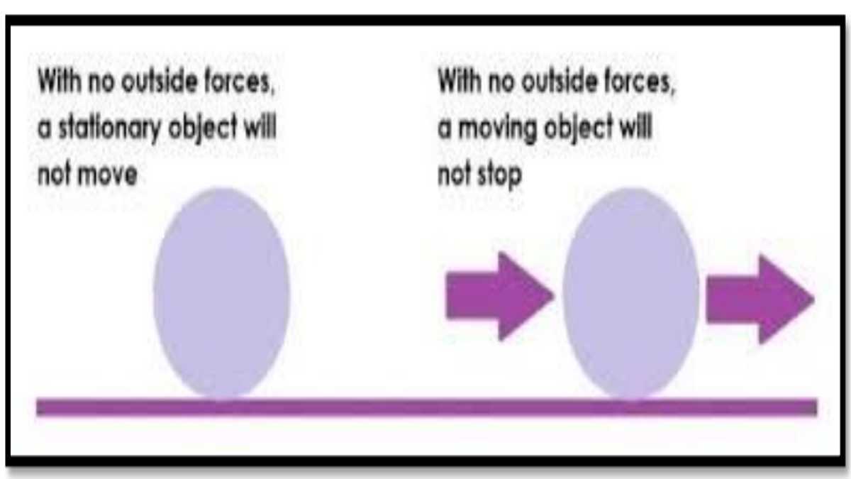 CBSE Class 12 Physical Education Sample Paper 2024